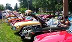MGBs on display at the car show