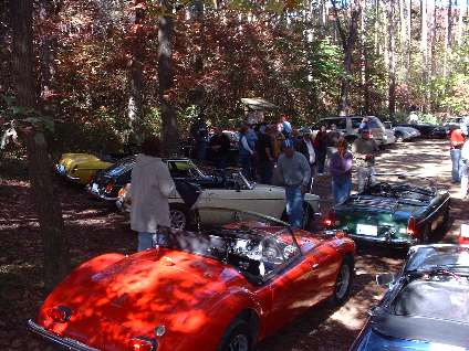 20 MGs in the forest