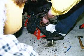 Removing right side spring