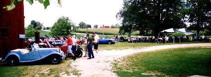 More cars at multi-club picnic
